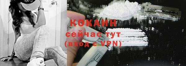 дживик Аркадак
