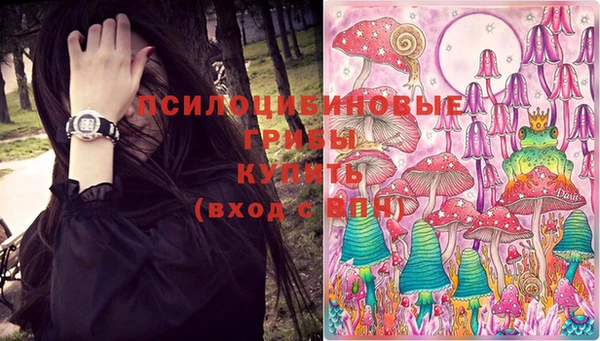 гашик Армянск
